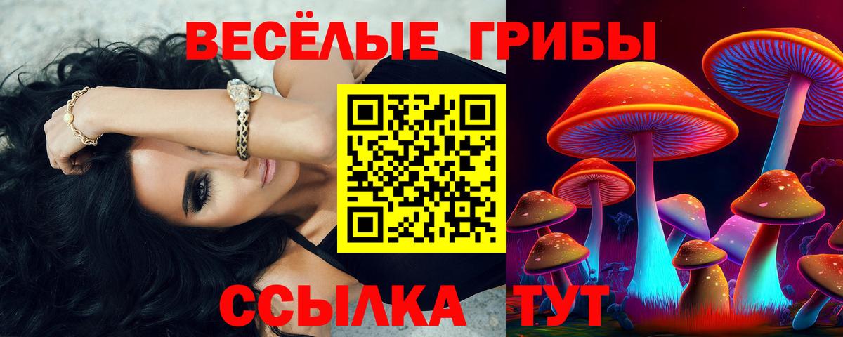 Галлюциногенные грибы MAGIC MUSHROOMS Шатура